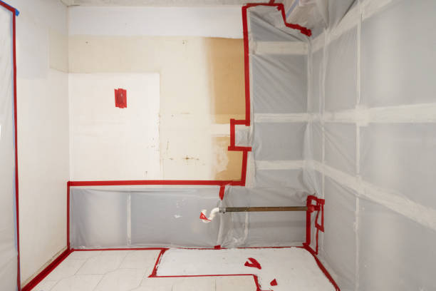 Best Residential Mold Inspection & Testing  in Belpre, OH